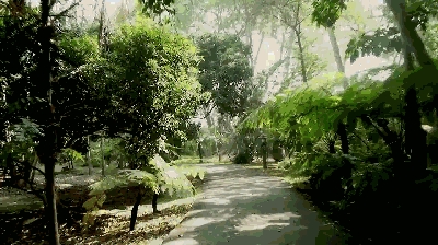 微信图片_20191104102228.gif