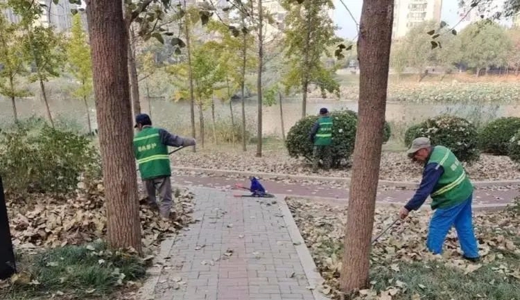 微信图片_20231102112525.png